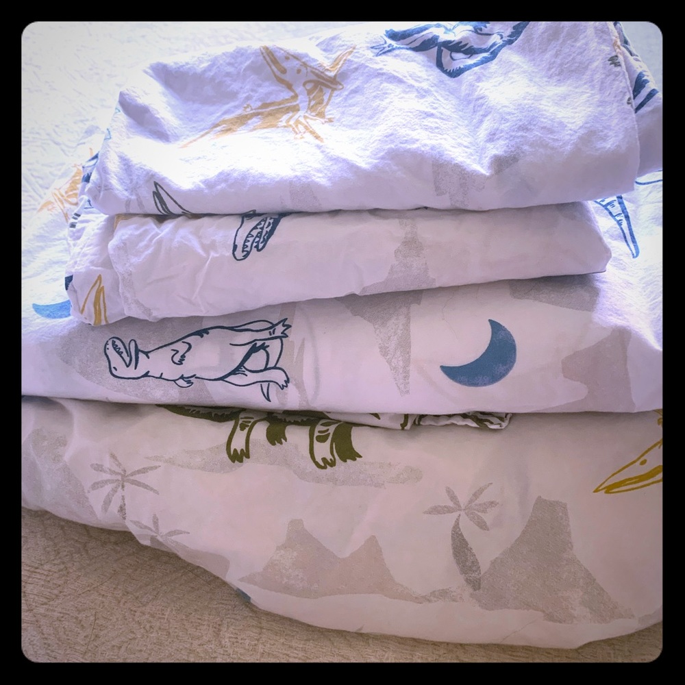 Pottery Barn Queen Size Dinosaur Sheets
